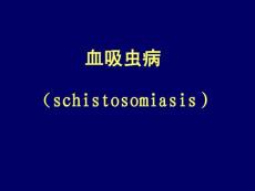 病理血吸虫病