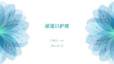 尿道口护理ppt