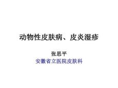 皮肤性病学动物性皮肤病ppt课件