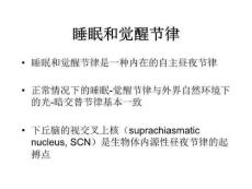 睡眠和觉醒节律PPT课件.ppt