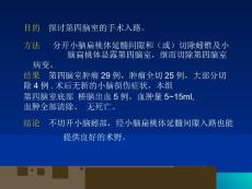 经小脑扁桃体延髓间隙入路.ppt