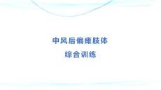中风后偏瘫肢体综合训练