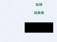 脑膜脑膜瘤