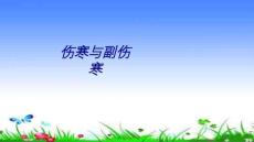 伤寒与副伤寒讲义