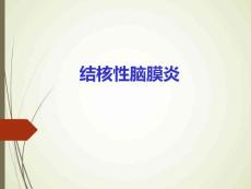 小儿结核性脑膜炎