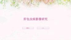 肝包虫病影像研究