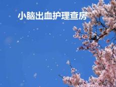 小脑出血