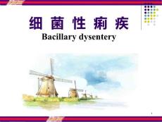 细菌性痢疾 PPT
