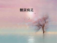 糖尿病足PPT