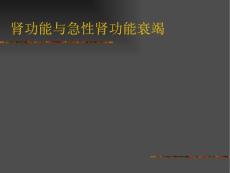 肾功能与急性肾功能衰竭