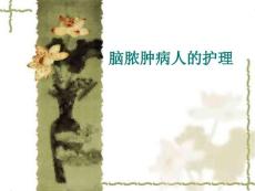 脑脓肿病人的护理
