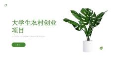 大學(xué)生農(nóng)村擺攤創(chuàng)業(yè)項(xiàng)目(參考模板)