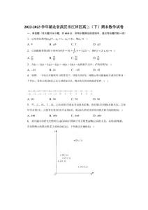 2022-2023學年湖北省武漢市江岸區(qū)高二（下）期末數(shù)學試卷