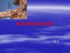 臂丛神经损伤的理疗