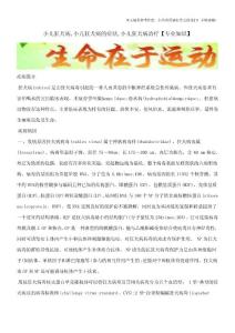 小儿狂犬病,小儿狂犬病的症状,小儿狂犬病治疗【专业知识】