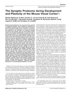 The Synaptic Proteome during Development and Plasticity of the Mouse Visual Cortex