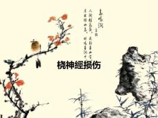 桡神经损伤专题知识讲座
