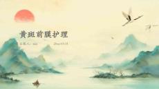 黄斑前膜护理ppt