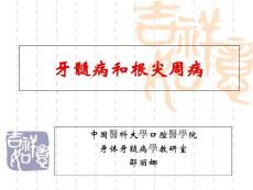 牙髓病和根尖周病