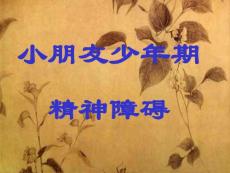 儿童精神障碍