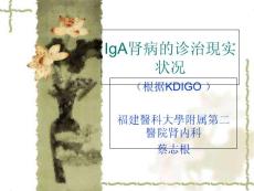 iga肾病诊治现状