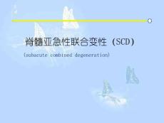 脊髓亚急性联合变性