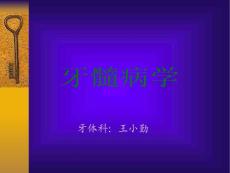 牙体牙髓病学牙髓病的诊断临床表现及诊断
