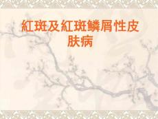 红斑丘疹性皮肤病