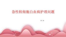 急性粒细胞白血病护理问题