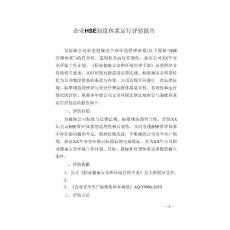 企業HSE制度體系運行評估報告