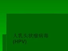 人乳头状瘤病毒