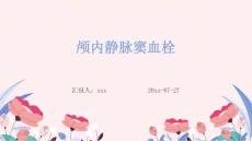 颅内静脉窦血栓ppt
