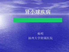 急进性肾小球肾炎-