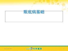 眼底病基础--课件