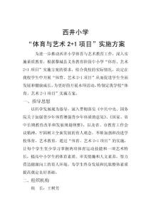 體育藝術(shù)方案