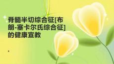 脊髓半切综合征