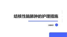 结核性脑脓肿的护理措施