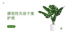 感觉性失语个案护理