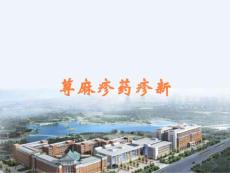 荨麻疹药疹新