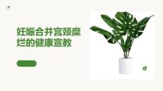 妊娠合并宫颈糜烂的健康宣教