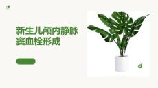 新生儿颅内静脉窦血栓形成