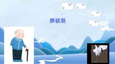 2025年脾破裂