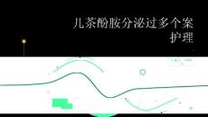 儿茶酚胺分泌过多个案护理