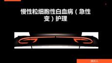 慢性粒细胞性白血病（急性变）护理