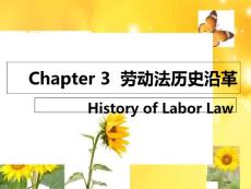 3劳动法的历史沿革省公开课金奖全国赛课一等奖微课获奖PPT课件