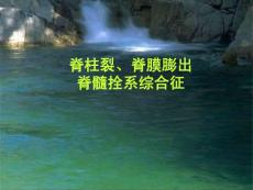 徐林脊柱裂脊膜膨出脊髓拴系综合征-课件