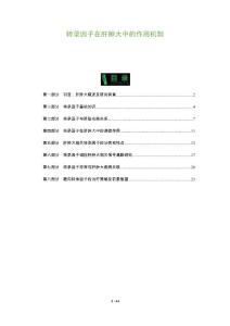 转录因子在肝肿大中的作用机制