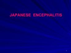 日本脑炎课件