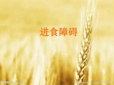 进食障碍-课件