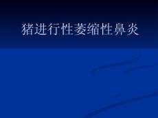 猪进行性萎缩性鼻炎课件